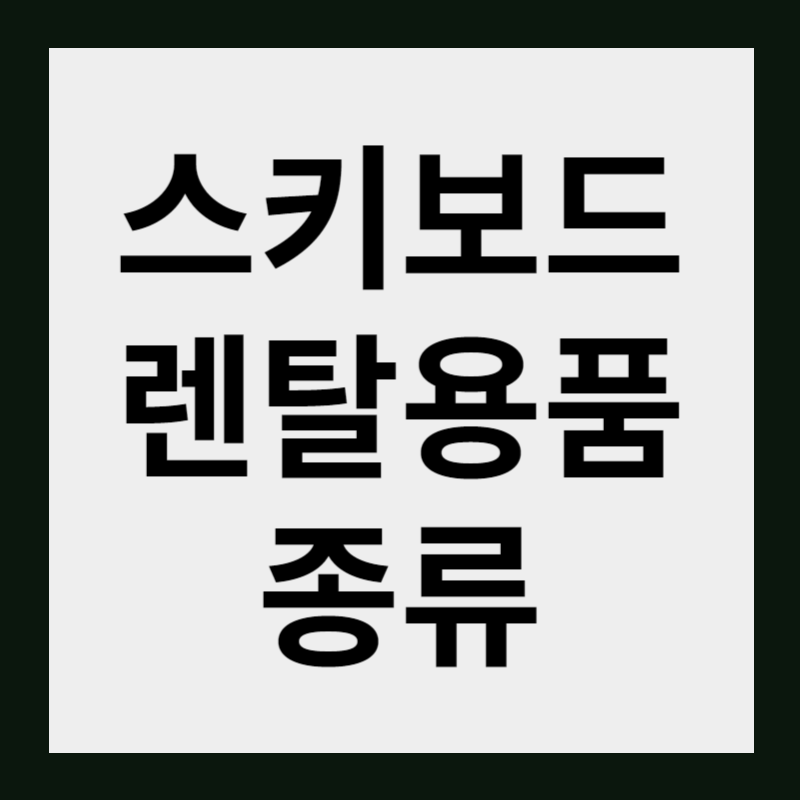 스키 보드 렌탈 물품 종류