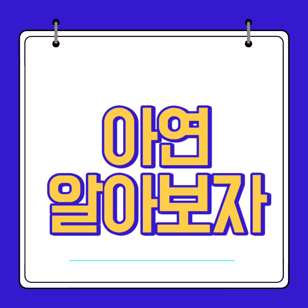  아연 효능 섭취량 복용법 부작용 알아보자