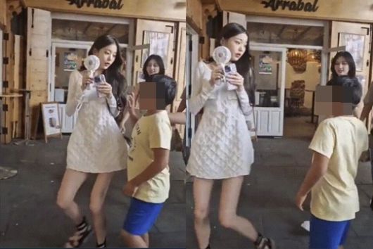  아이브 장원영, 탈덕수용소-맘카페 사건 요약