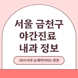 서울 금천구 야간진료 내과 병원 (18시 이후 늦게까지하는 병원)