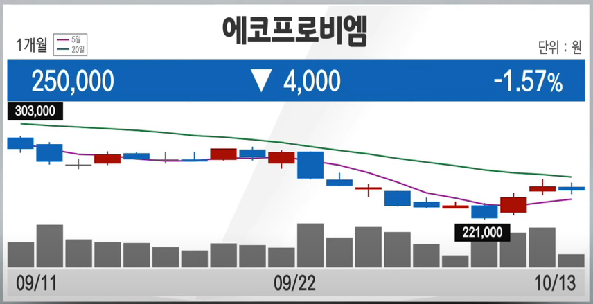 에코프로 비엠 영업실적 1