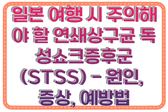 일본 여행 시 주의해야 할 연쇄상구균 독성쇼크증후군(STSS) - 원인, 증상, 예방법