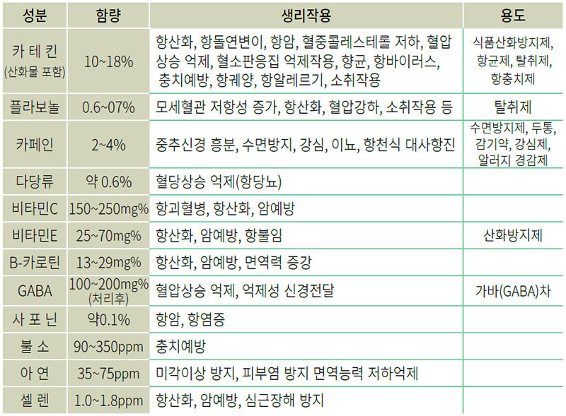 녹차 영양성분