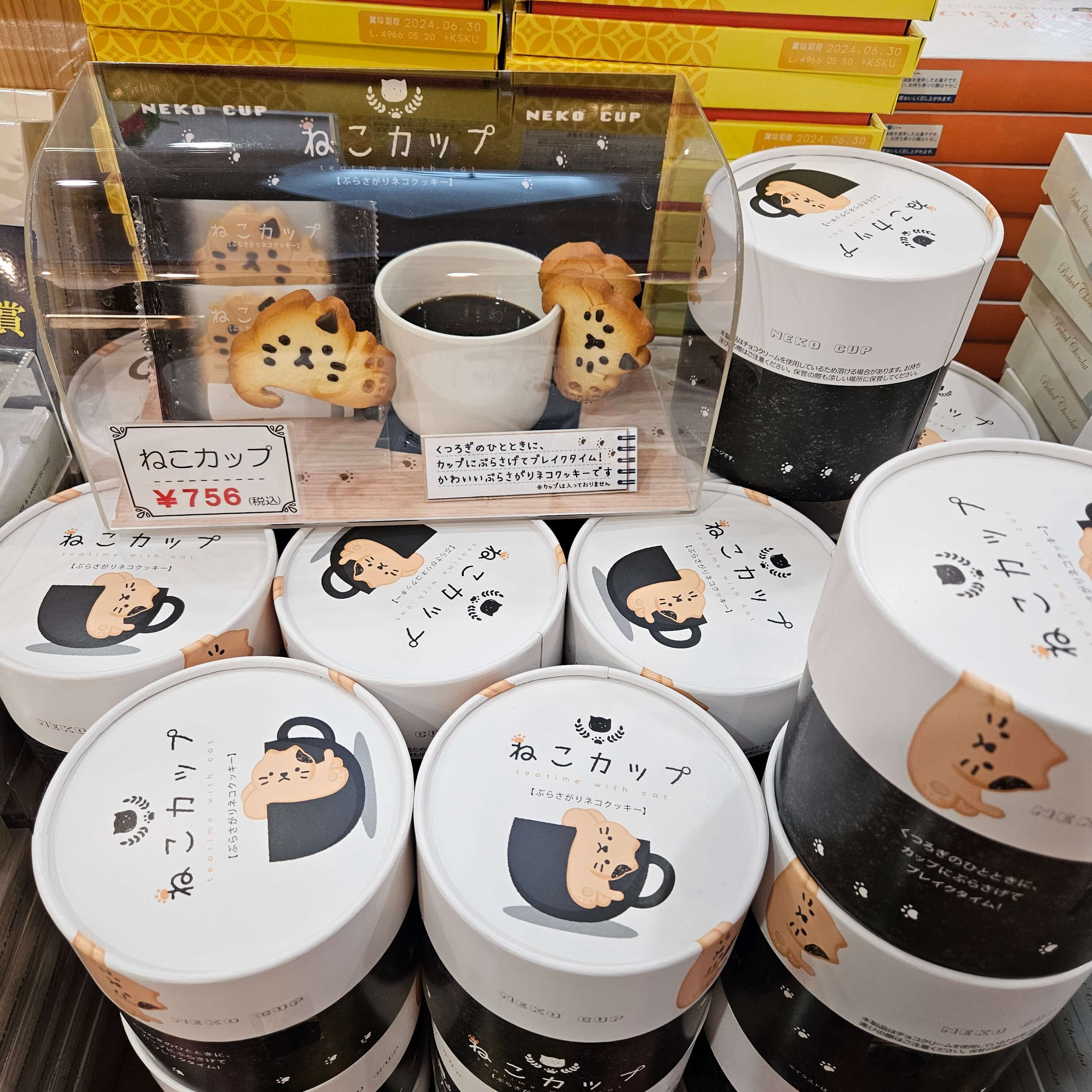 나고야 여행기 2 편 - 다카야마 / 시라카와고 일일투어