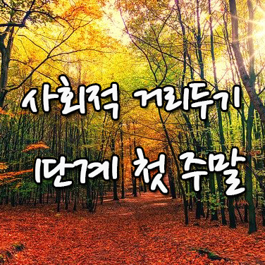  사회적 거리두기 1단계 첫 주말 - 단풍절정