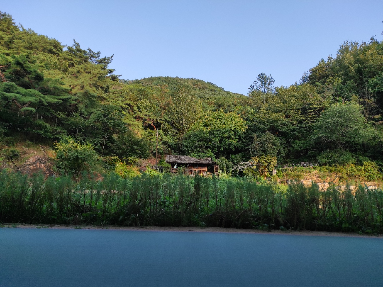  영어성경 단숨에 암송하기! (시편 1장 전체) #시편
