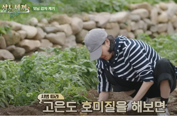 삼시세끼 김고은 출현