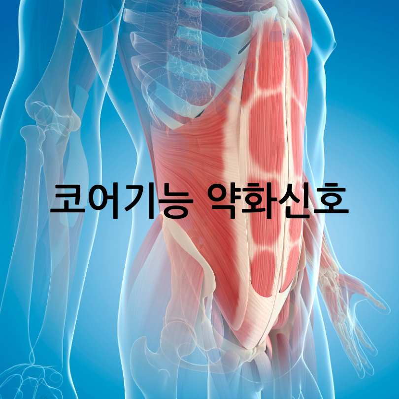 코어근육 약화 자가테스트