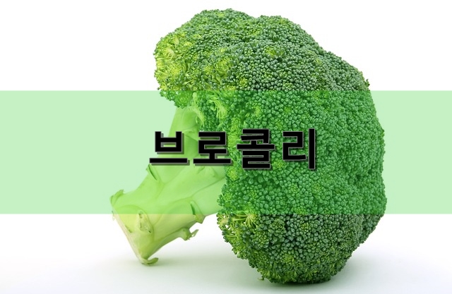  브로콜리의 영양, 효능, 고르는 방법 등