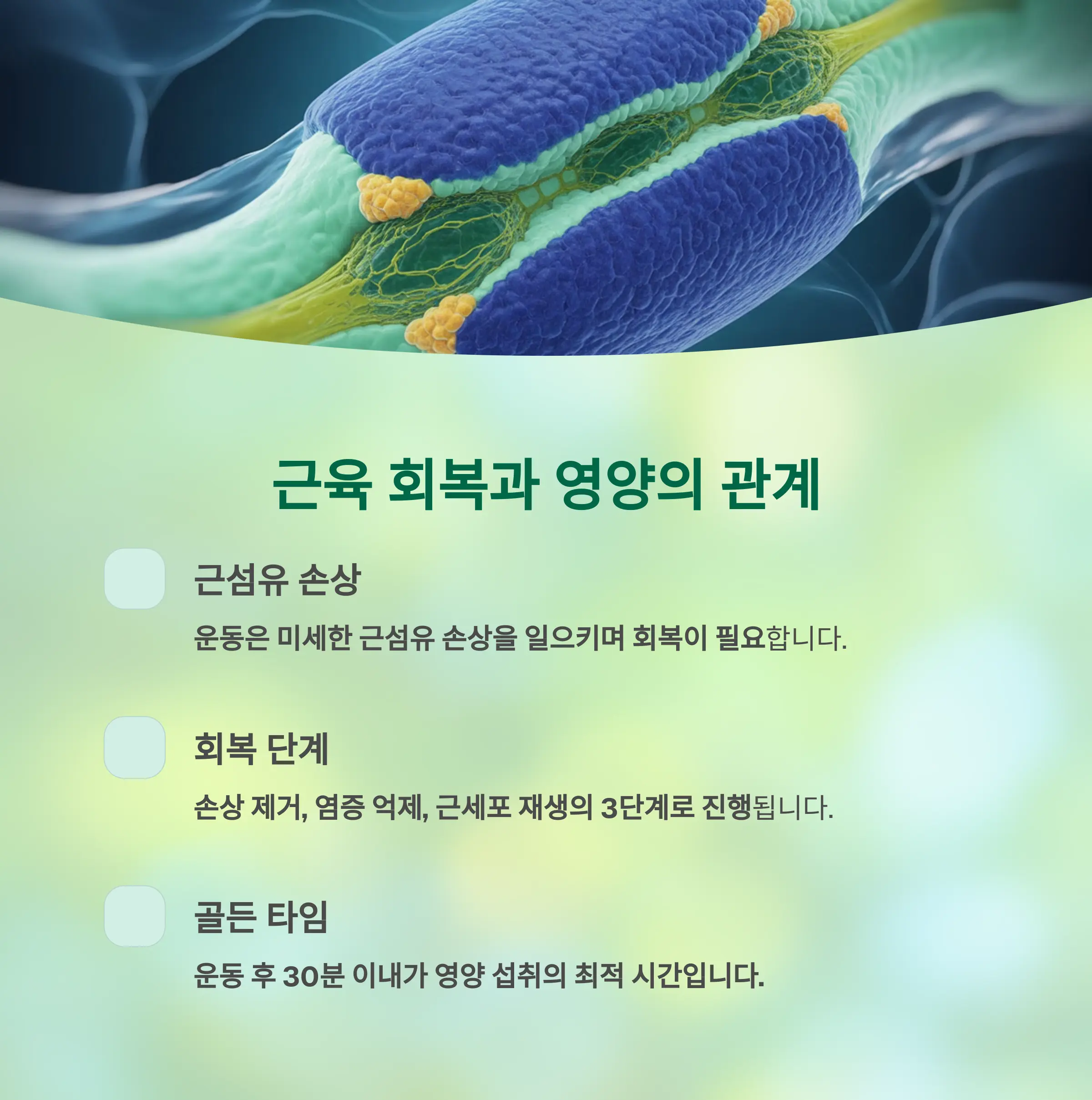 근육 회복의 중요성과 영양의 역할
