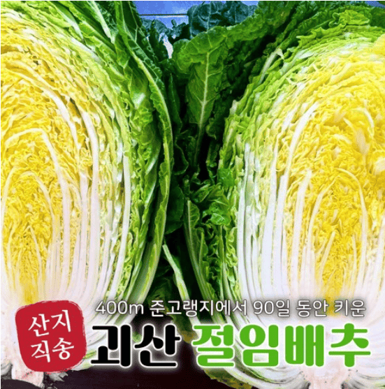 괴산 절임배추