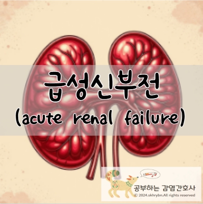 급성 신부전(acute renal failure) 원인, 증상, 치료