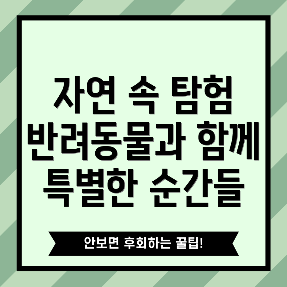 반려동물 여행