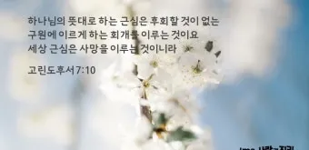 고린도후서 4장 16절 해석 - 그러므로 우리가 낙심하지 아니하노니 우리의 겉사람은 낡아지나_13