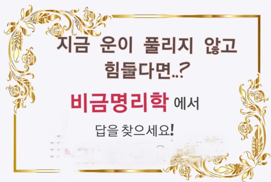 비금 이미지