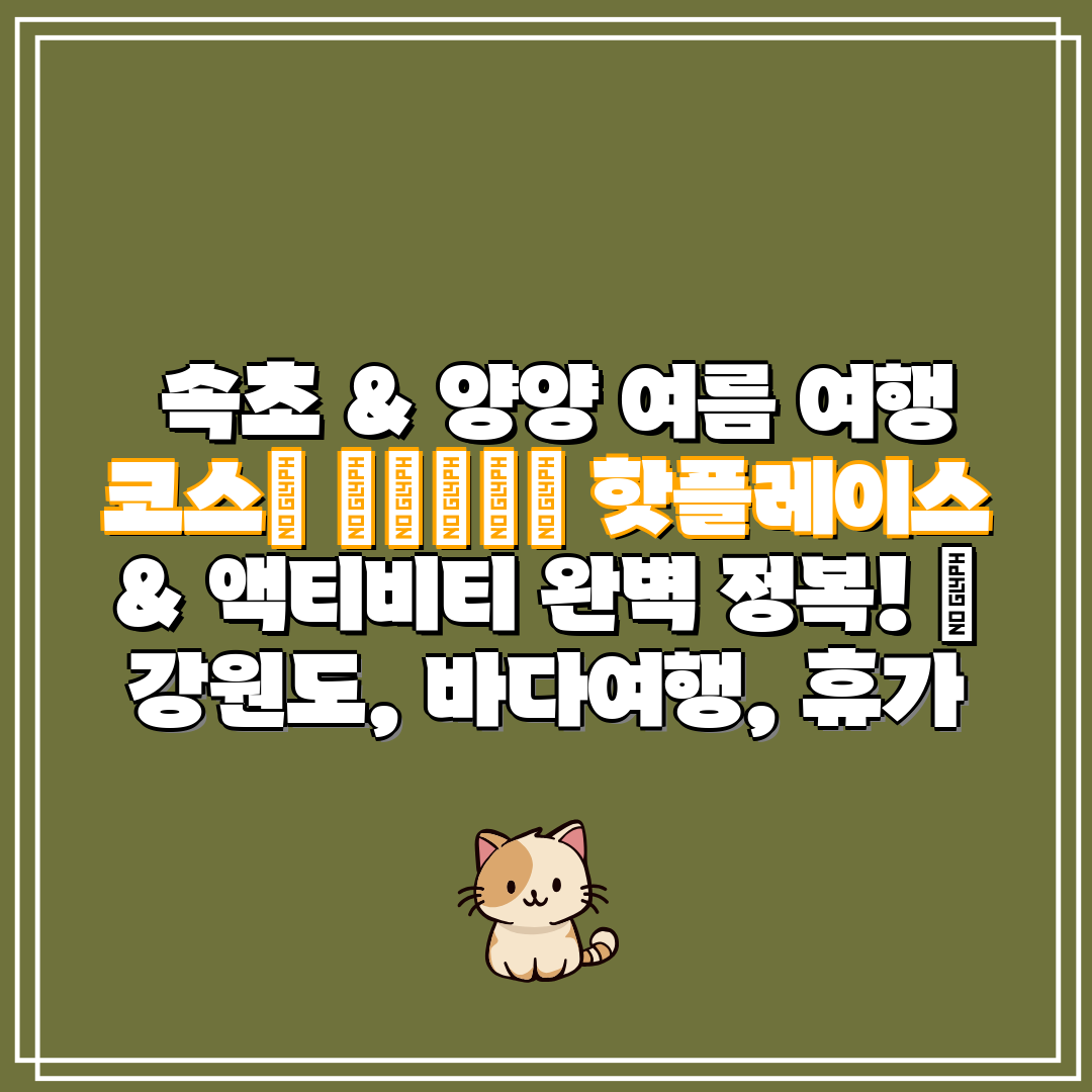 속초 & 양양 여름 여행 코스 🏄♂️🌊 핫플레이스