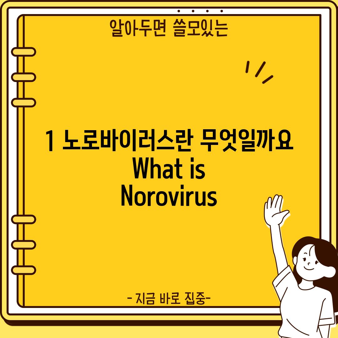 1. 노로바이러스란 무엇일까요?  (What is Norovirus?)