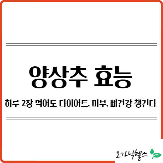 양상추의 효능