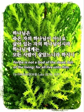 권위 전쟁 누가복음 20장 큐티 매일성경_15