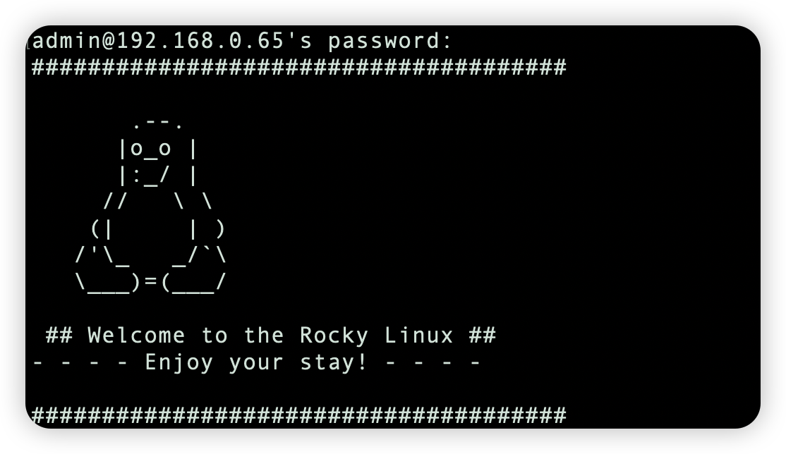 리눅스-ssh-접속-텍스트표시