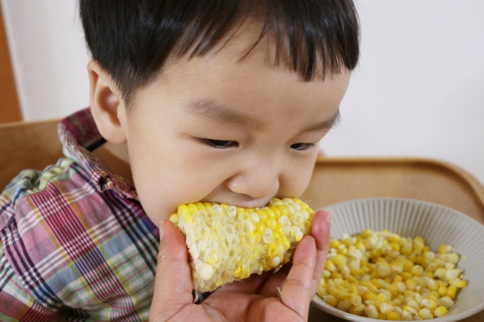 초당 옥수수 보관 냉동 냉장 2가지 방법 24