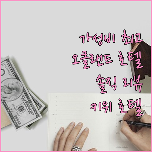 가성비 최고! 오클랜드 키위 인터내셔