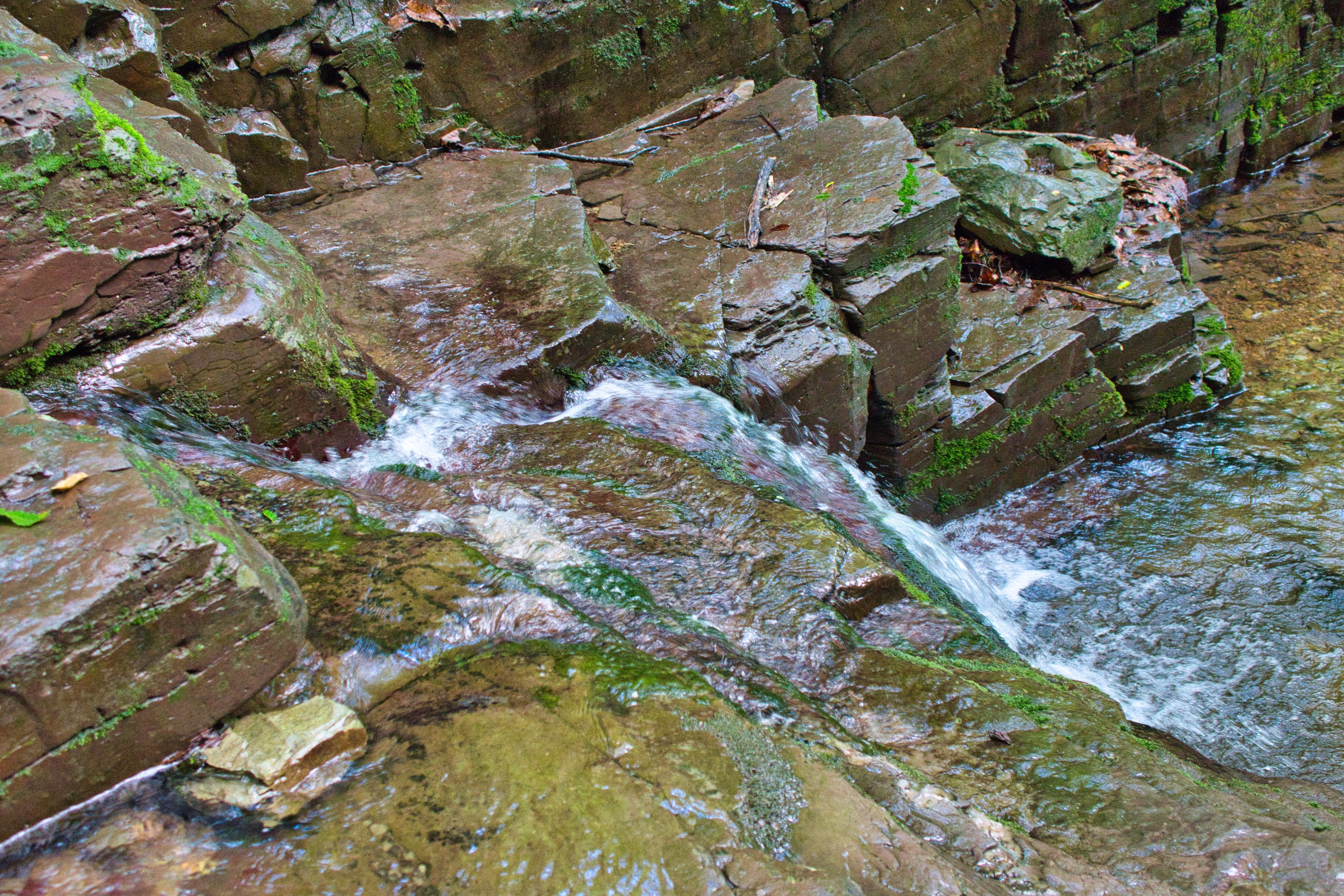 img.jpg