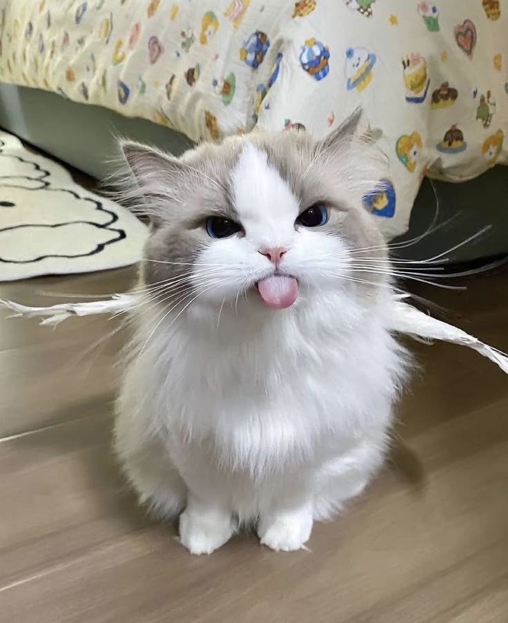 동반자 이미지