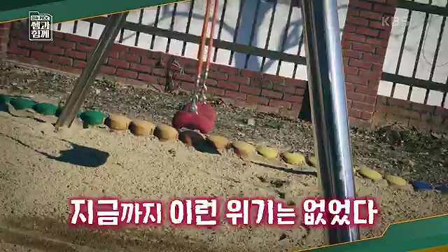 [130회] 이슈 픽 쌤과 함께 - KBS130회] 이슈 픽 쌤과 함께.ts_20230510_201530.435.jpg