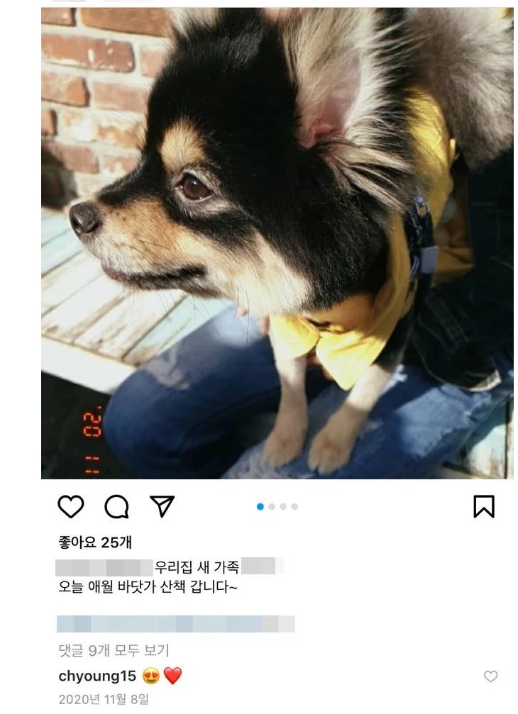  배우 이채영 상습파양 의혹 반려견 사진 삭제 나이 프로필 인스타 키 학력