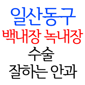 고양 일산동구 백내장 녹내장 수술잘하는곳 안과 병원 추천 후기 수술 가격 비용 비교 스마일라식 라섹 드림렌즈 노안 노인 근시 시력교정 렌즈 시력검사 망막 종합검진