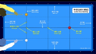  당구 규칙(위치,배치,파울 규정)