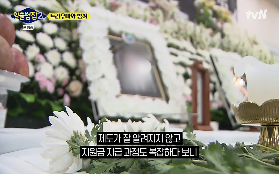 알쓸범잡 2.E11.220321p-NEXT.mp4_20220321_182314.191.jpg