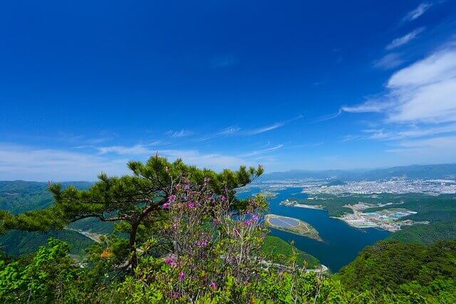 춘천 작가 김유정