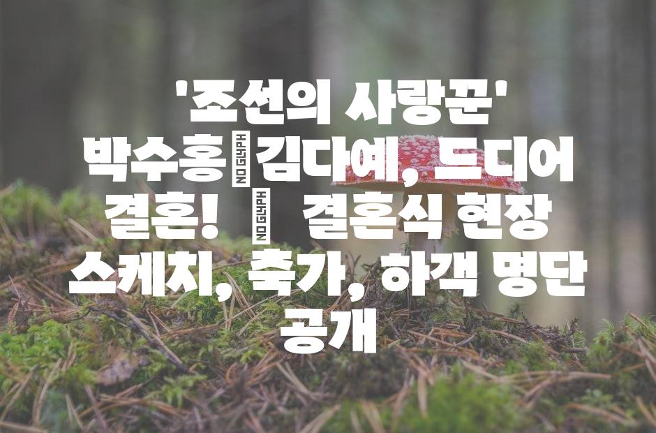 샘플 (42)