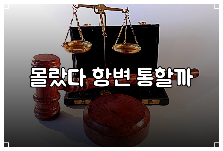 몰랐다 항변 통할까