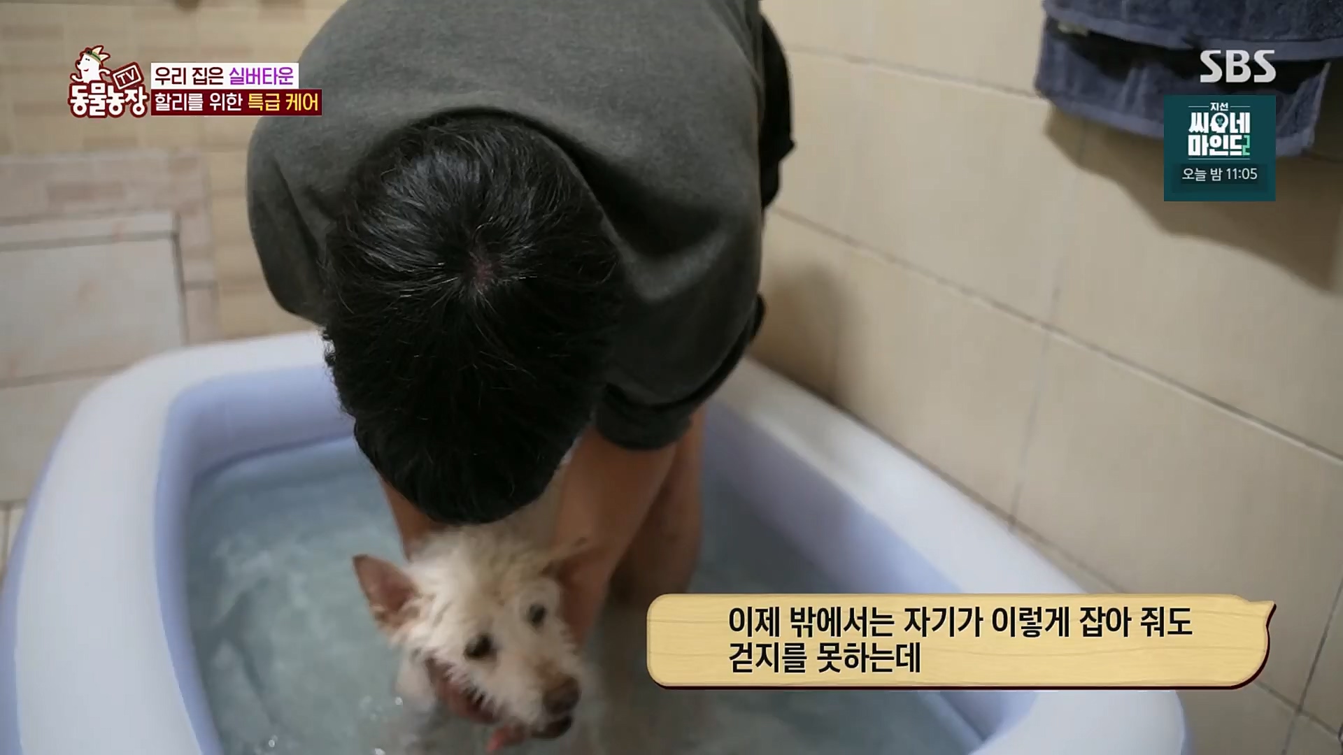 TV 동물농장.E1115.230409p.H264-F1RST.mp4_20230409_173056.306.jpg