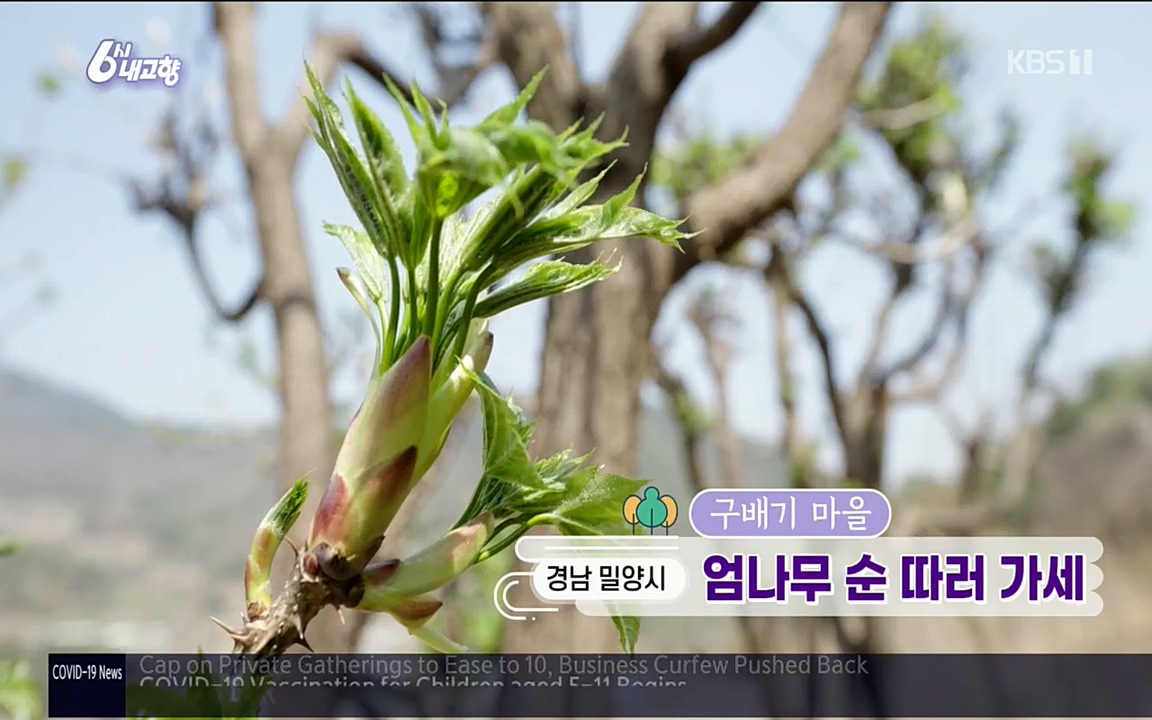 6시 내고향.E7510.220414p.H264-F1RST.mp4_20220419_181943.720.jpg