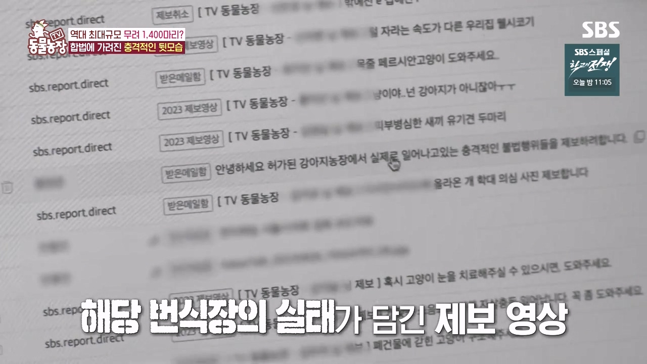 TV 동물농장.E1142.231023p-NEXT.mp4_20231022_172023.557.jpg