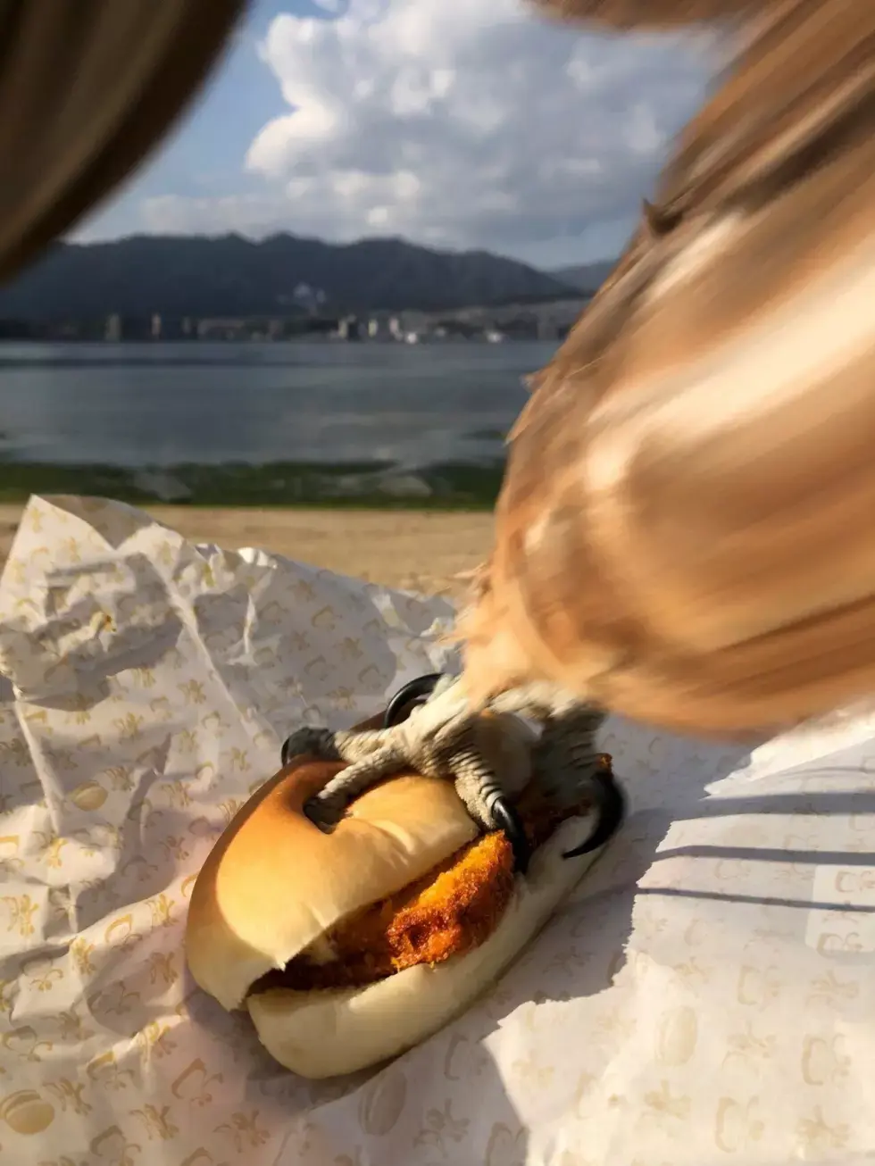  뚜뚜월드