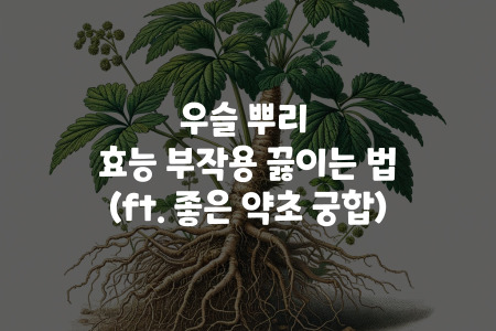 우슬 뿌리 효능