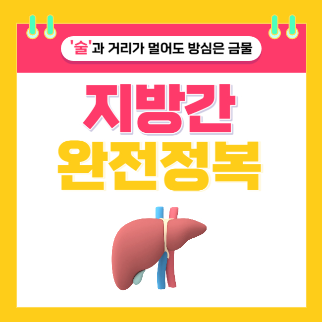  '술'과 거리가 멀어도 방심은 금물! <지방간> 완전 정복