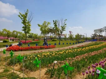 5월 수도권 꽃구경 꽃축제 10선_15