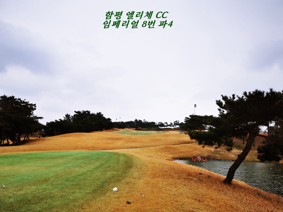 마제스티 1박2일 함평 엘리체CC 70