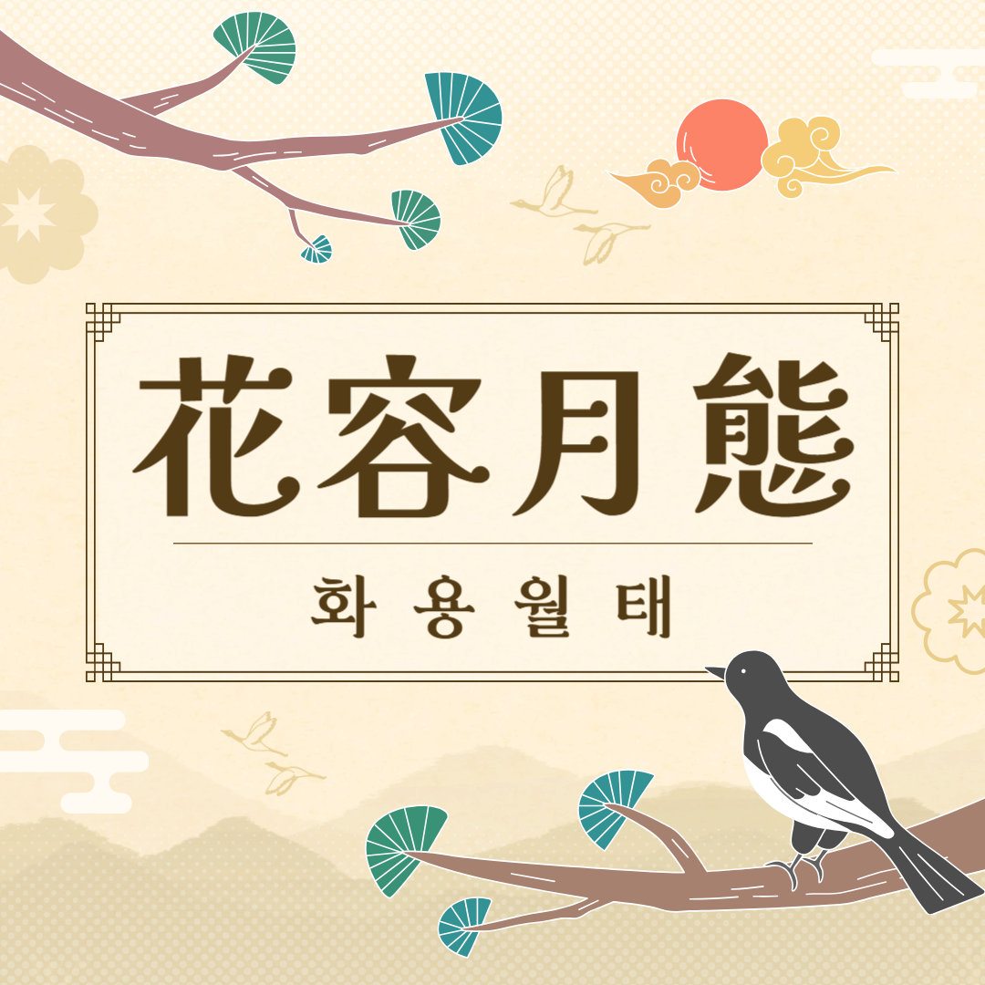 화용월태(花容月態) 뜻, 유래, 예문, 반대말, 유의어