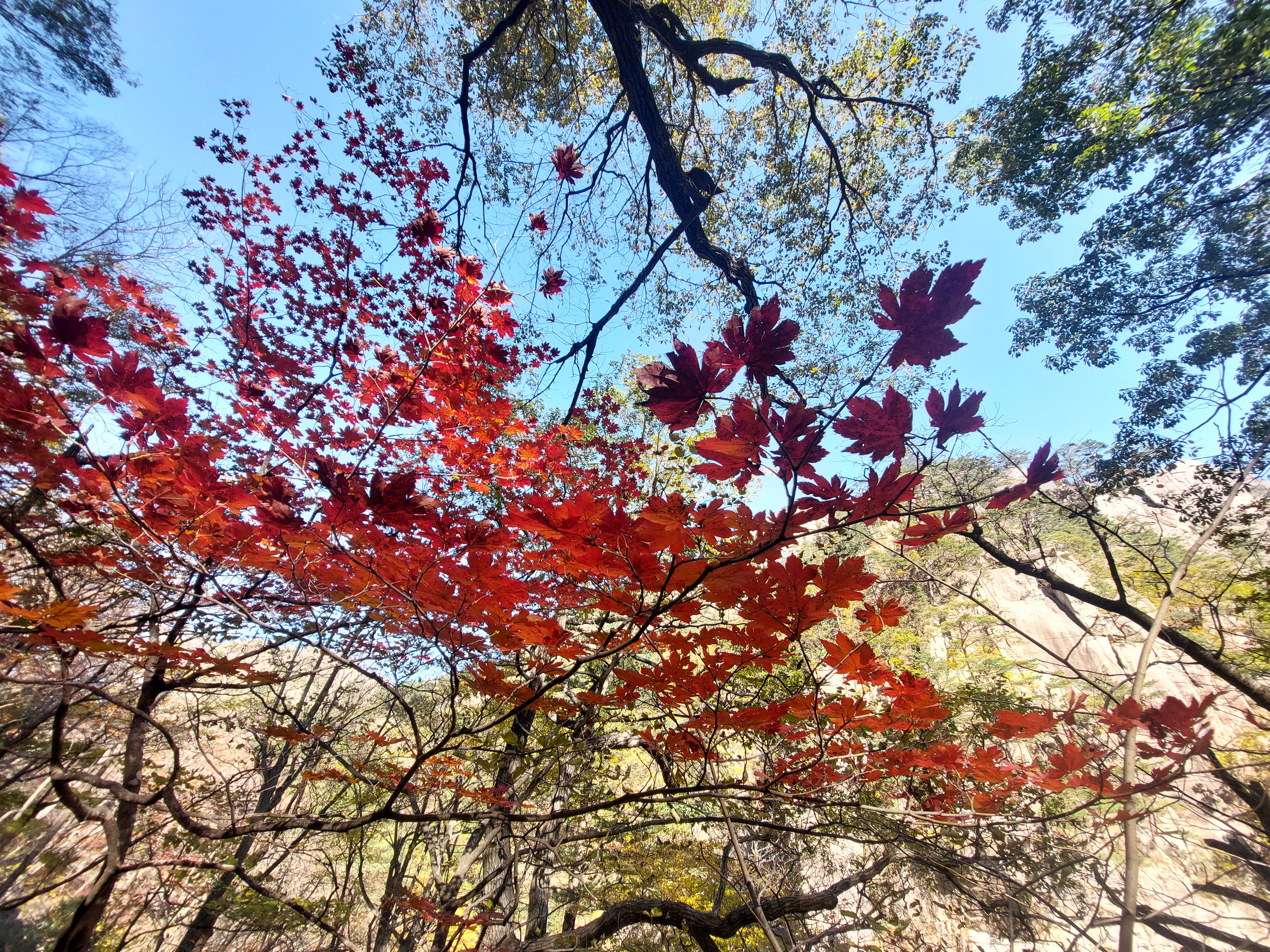 설악산
