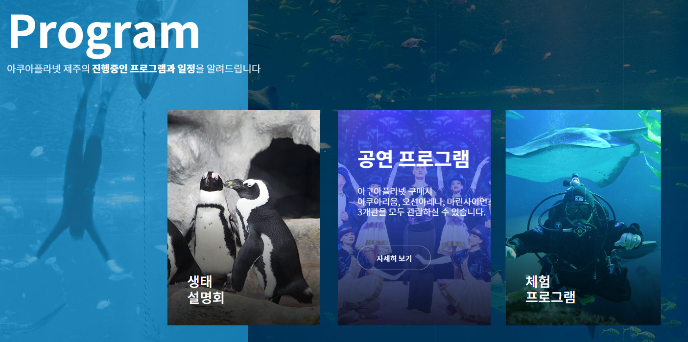 제주도