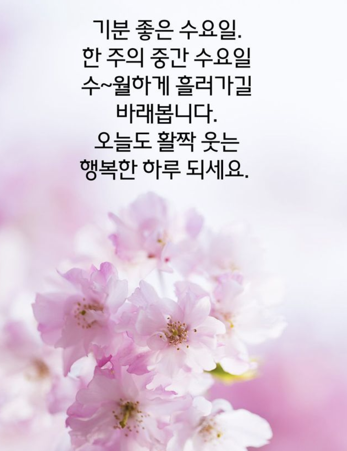 수요일 아침인사말