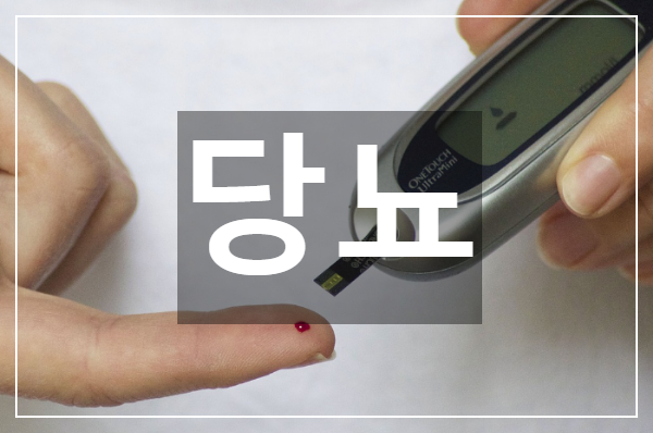  만성적인 대사 질환 당뇨