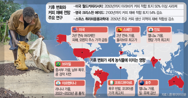  [차이야기] 커피의 확산과 아메리카 대륙의 커피 재배